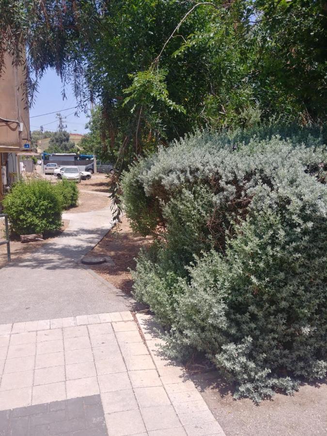 Apartment For Relaxing And For Health Hayfa Dış mekan fotoğraf